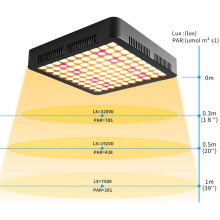 LED wachsen Lichtplatte 1000W